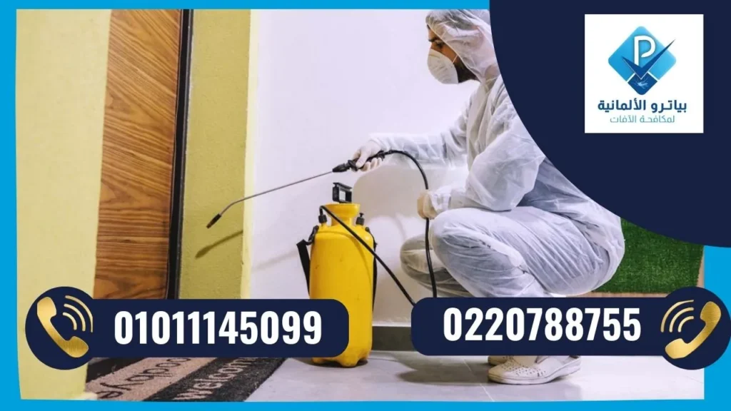 التخلص من الفئران