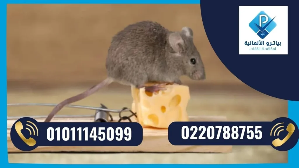 ادوات تستخدمها شركة مكافحة الفئران