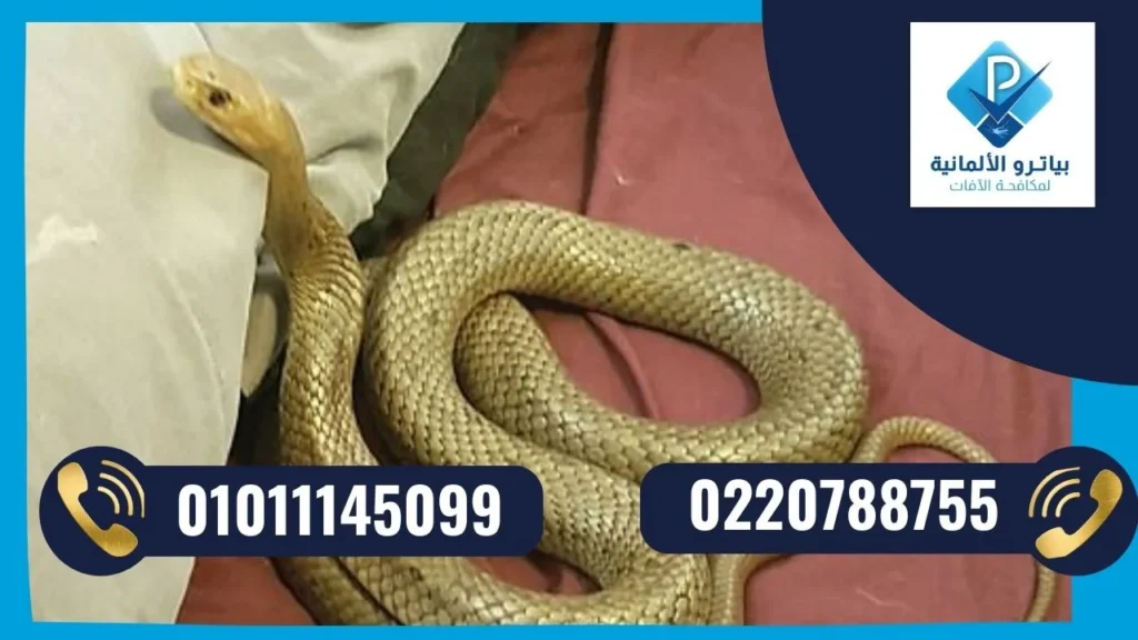 شركة بياترو هي الشركة الالمانية لمكافحة الزواحف والثعابين