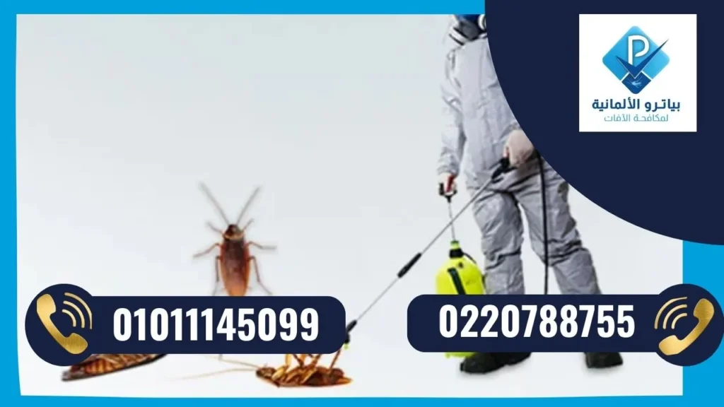 شركة رش الصراصير والزواحف في مصر