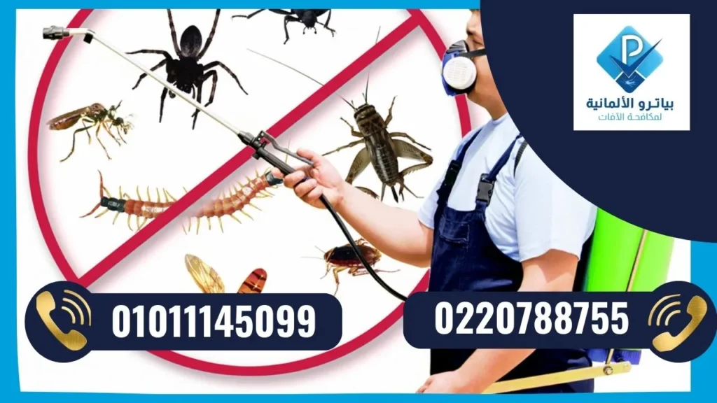 أرقام شركات رش الحشرات