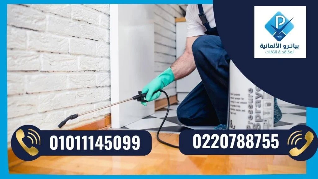 افضل شركة مكافحة حشرات في مدينة نصر
