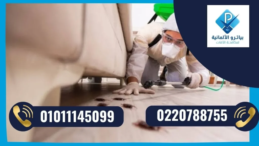 شركة مكافحة حشرات في التجمع الخامس