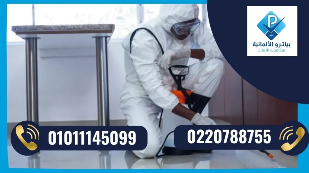 شركة مكافحة حشرات في الرحاب