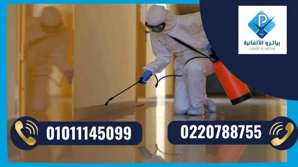 أفضل شركة مكافحة حشرات في اكتوبر