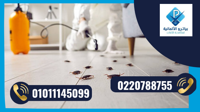 شركة مكافحة حشرات بالتجمع الخامس