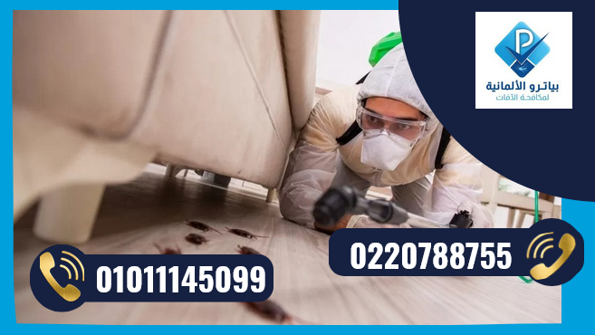 شركة مكافحة حشرات بالتجمع الخامس