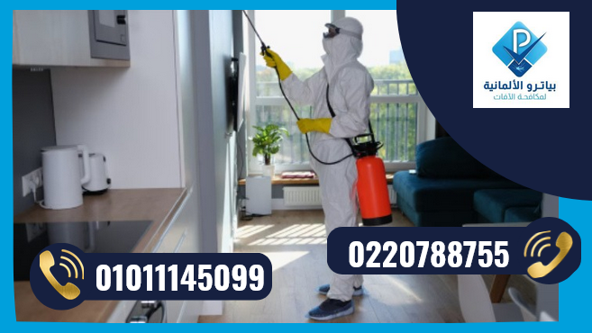 شركة مكافحة حشرات بالتجمع الخامس