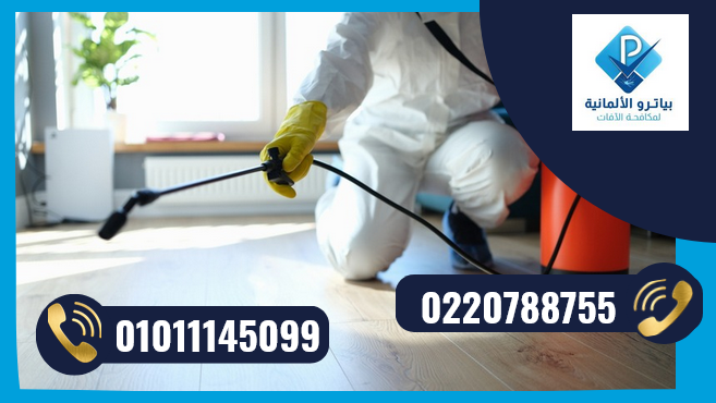 شركة مكافحة حشرات بالتجمع الخامس