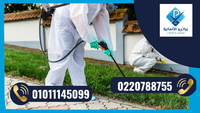 شركة مكافحة حشرات بالتجمع الخامس