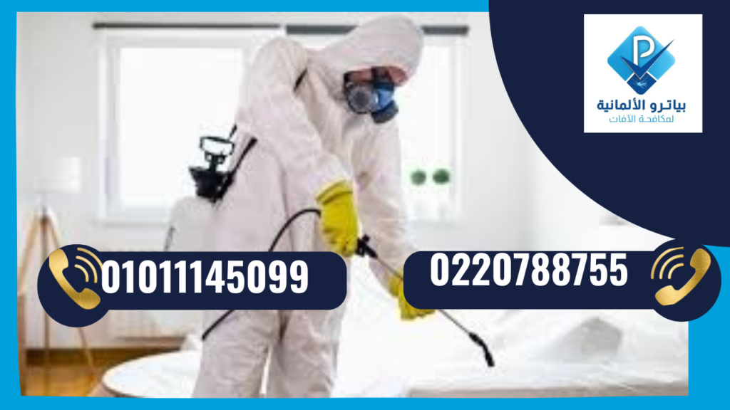 شركة مكافحة حشرات في مدينتي