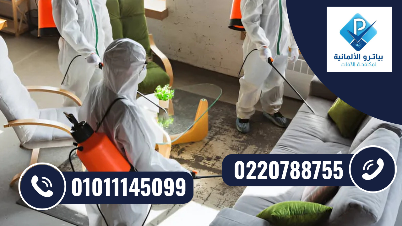 أفضل شركة مكافحة حشرات في الرحاب للقضاء على الصراصير وبق الفراش