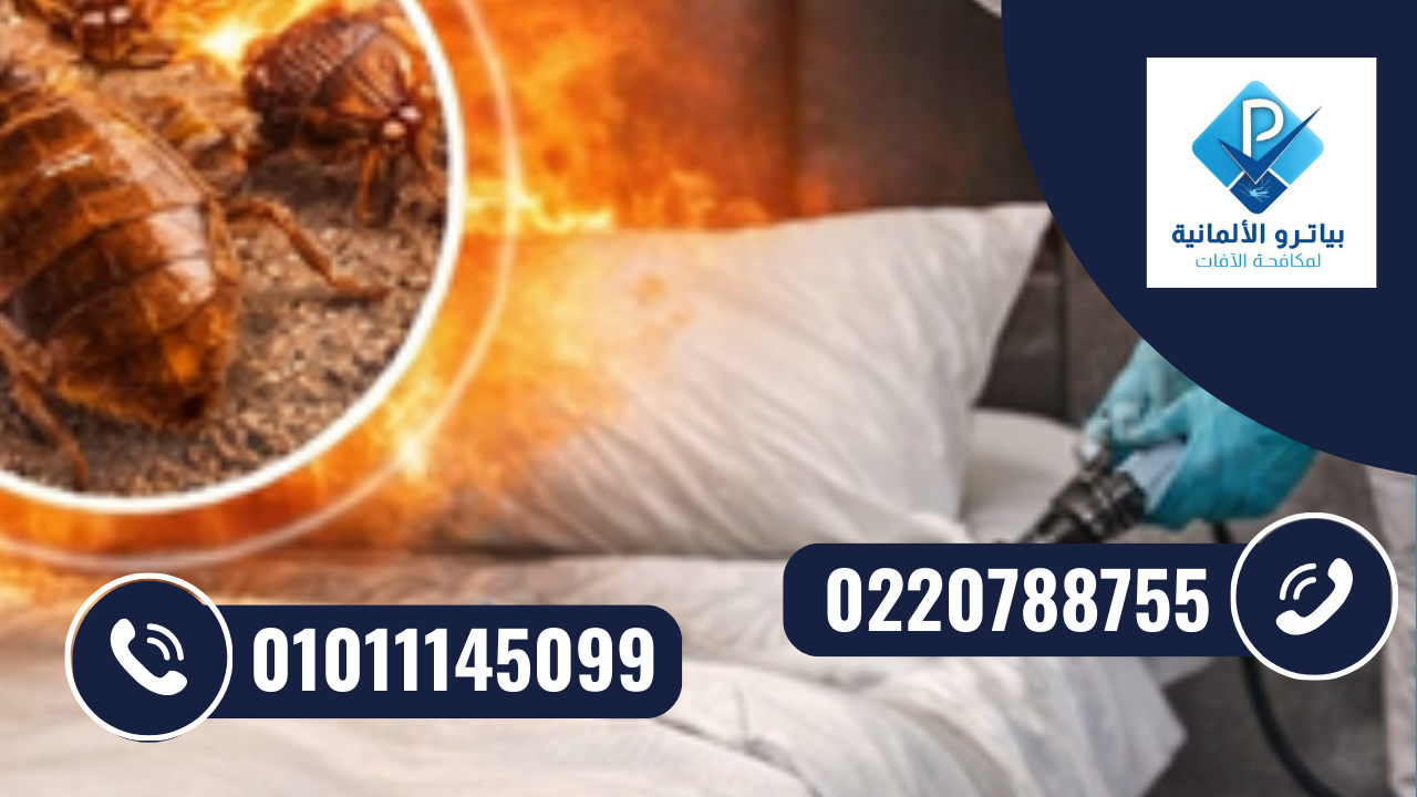 مكافحة بق الفراش والتعقيم الحراري العميق
