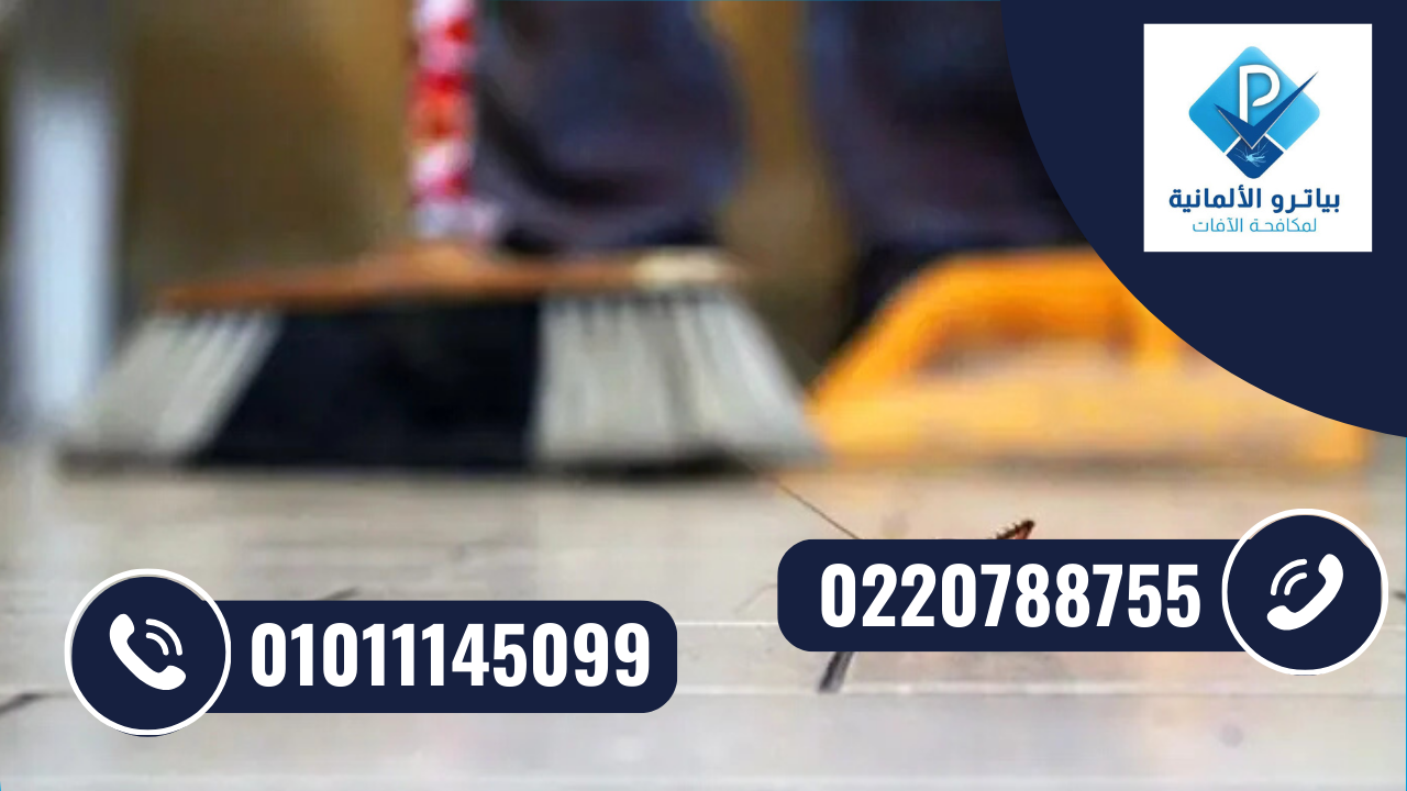 علامات وجود الحشرات في المنزل والحديقة – مكافحة حشرات الرحاب