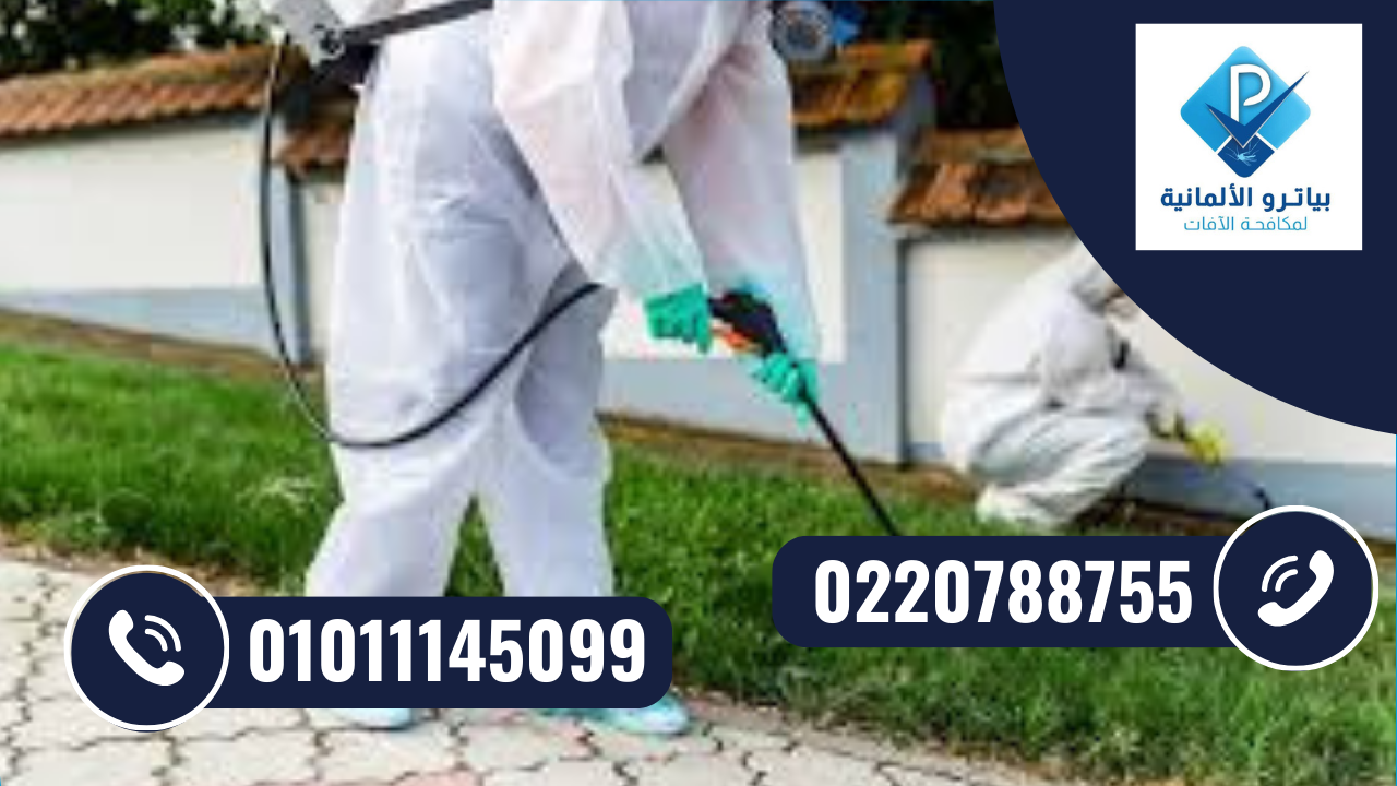 مكافحة حشرات في الحديقه