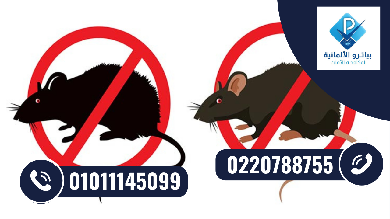 مكافحة الفئران