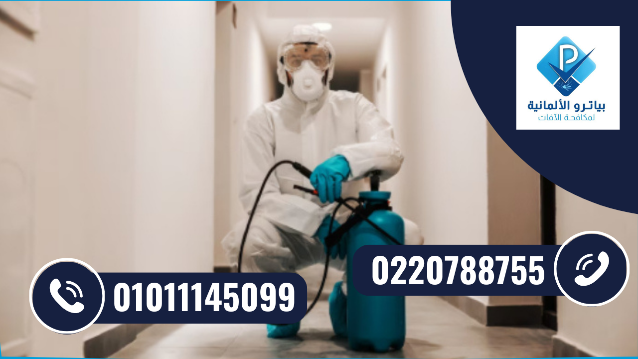 أحدث تقنيات مكافحة حشرات مدينة نصر