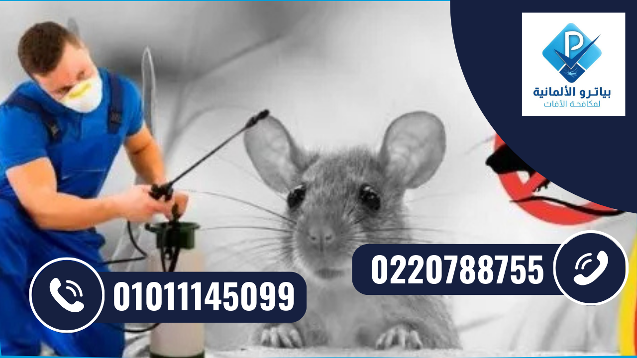 شركة مكافحة الفئران 