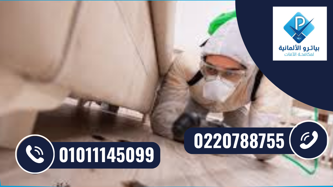 شركة مكافحة الصراصير