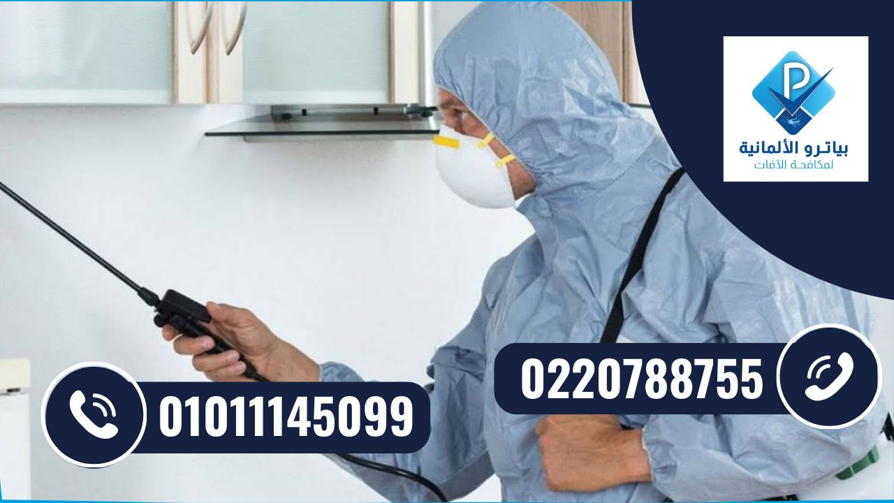شركة مكافحة حشرات مدينة نصر