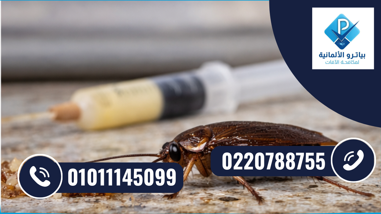 مكافحة الصراصير