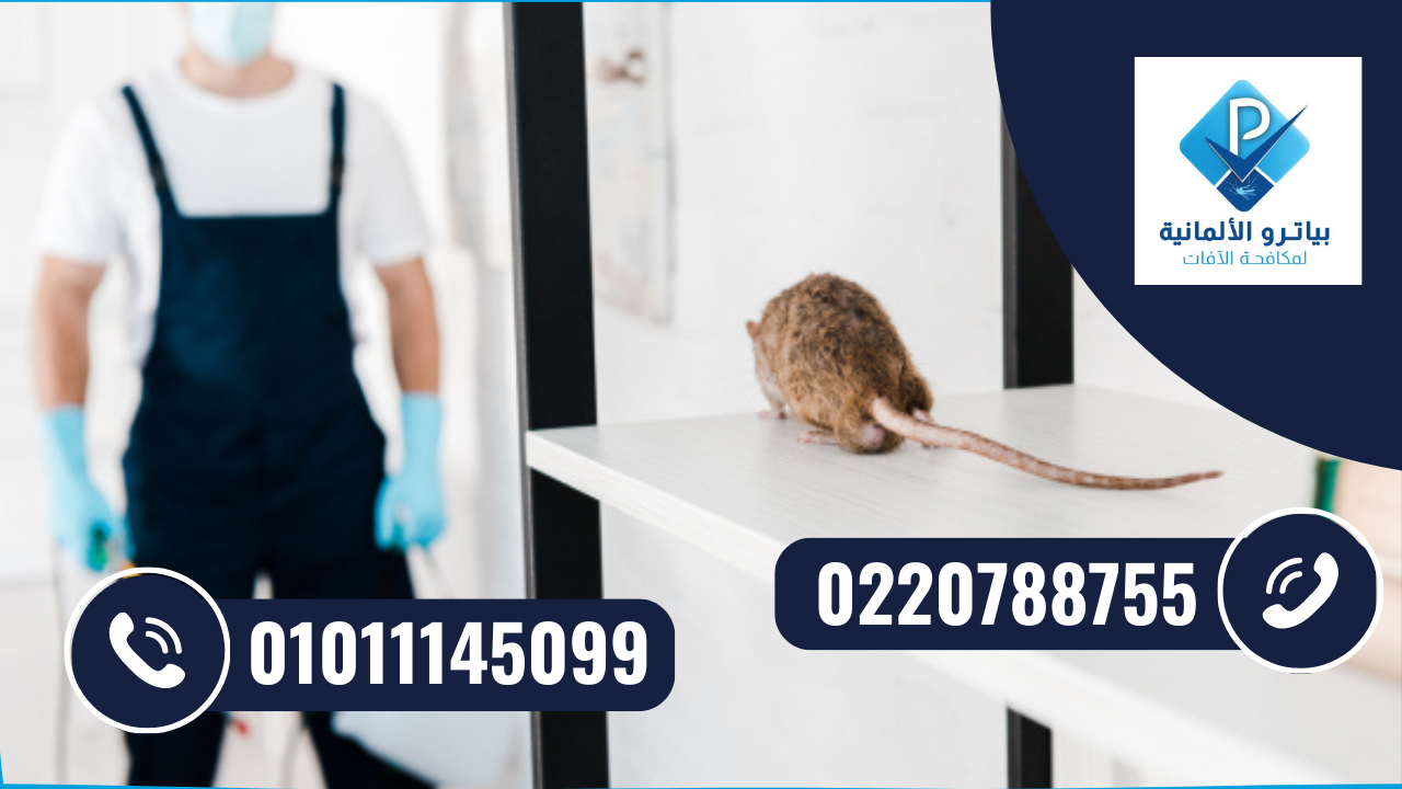 مكافحة الفئران والقوارض