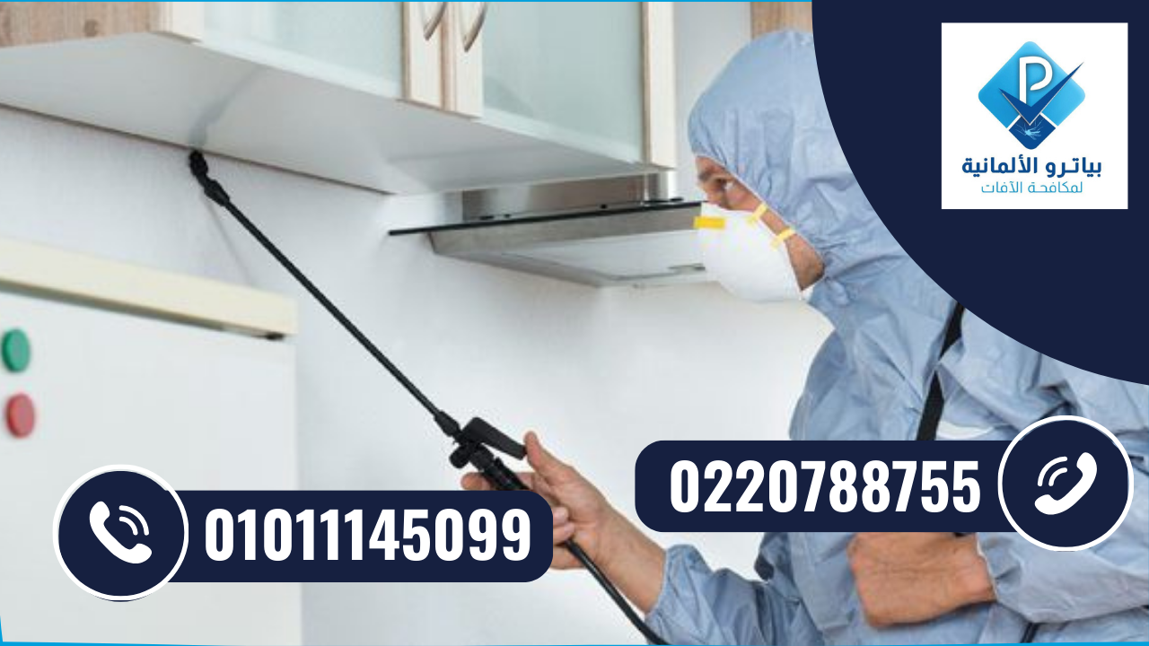 شركة مكافحة حشرات في مدينة المستقبل