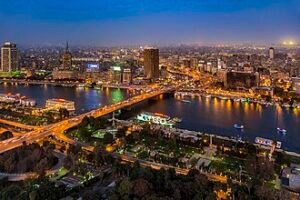 شركة مكافحة الحشرات في القاهرة