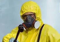 شركة بياترو الالمانية لمكافحة وابادة الحشرات والقوارض في مصر