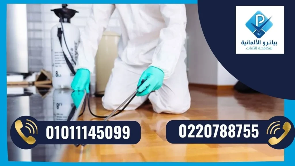 شركة مكافحة حشرات في مصر