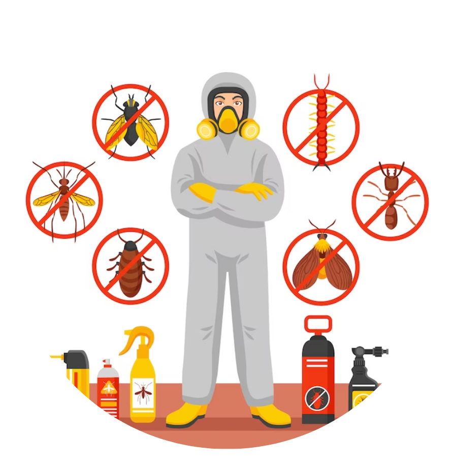 شركة مكافحة الحشرات المنزلية في مصر