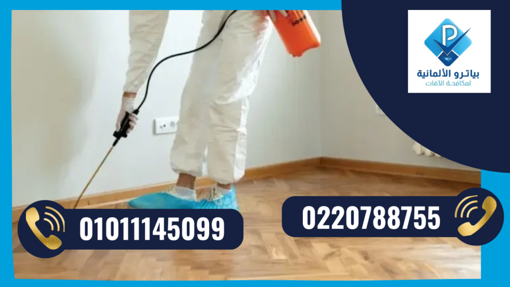 شركة مكافحة حشرات في مدينتي