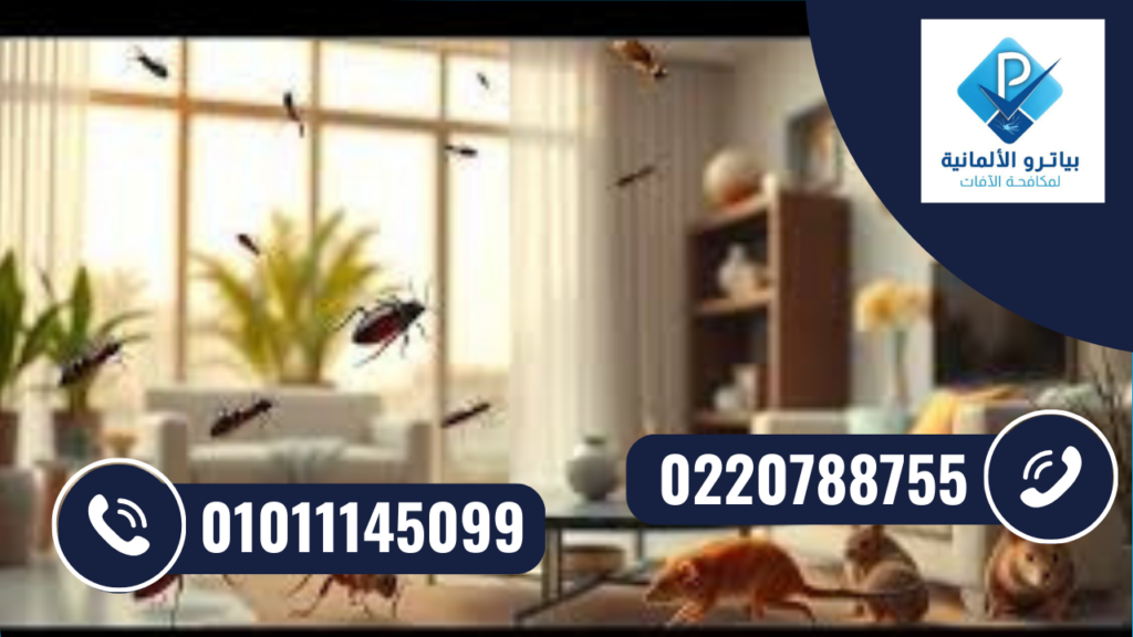 شركة مكافحة حشرات في الرحاب
