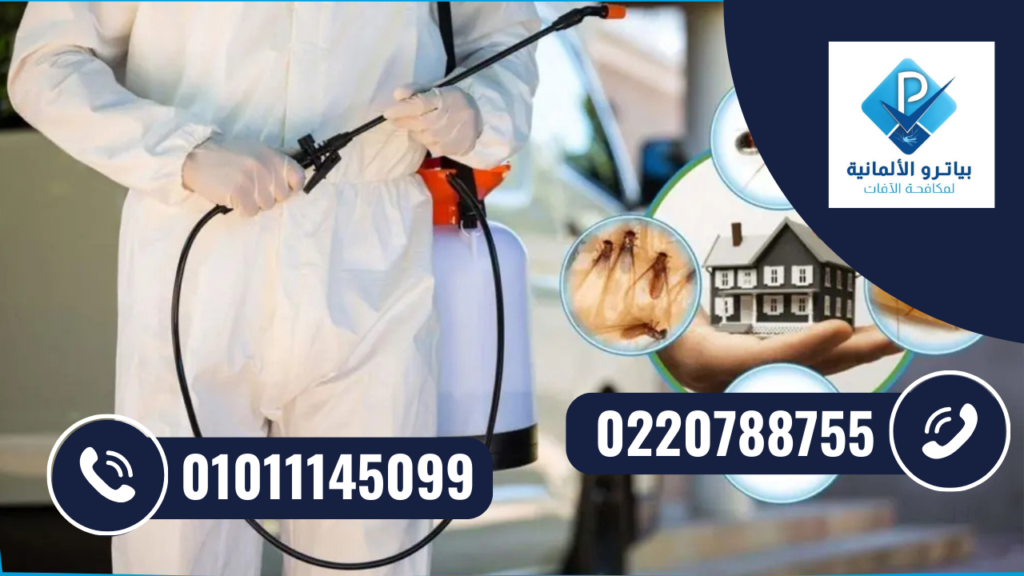 شركة مكافحة حشرات مدينة نصر