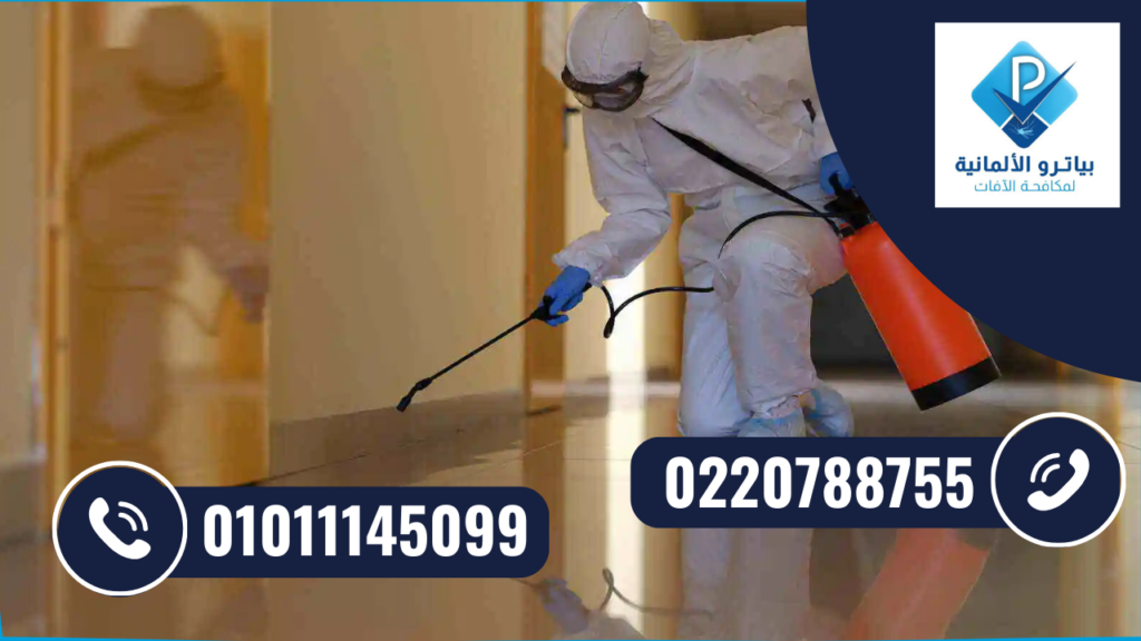 شركة مكافحة حشرات في الشروق