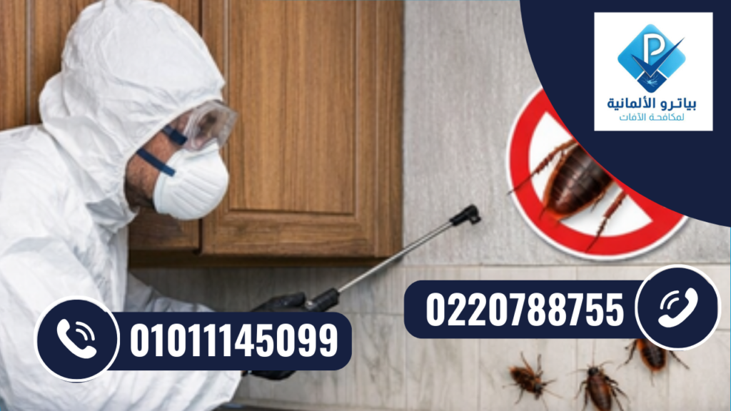 شركة مكافحة حشرات في اكتوبر