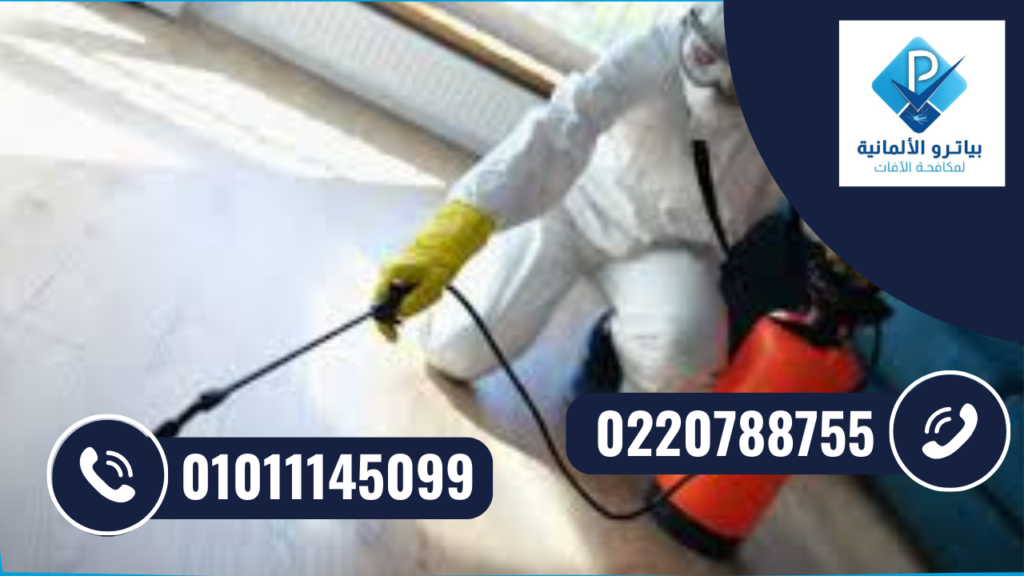 شركة مكافحة حشرات في التجمع الاول