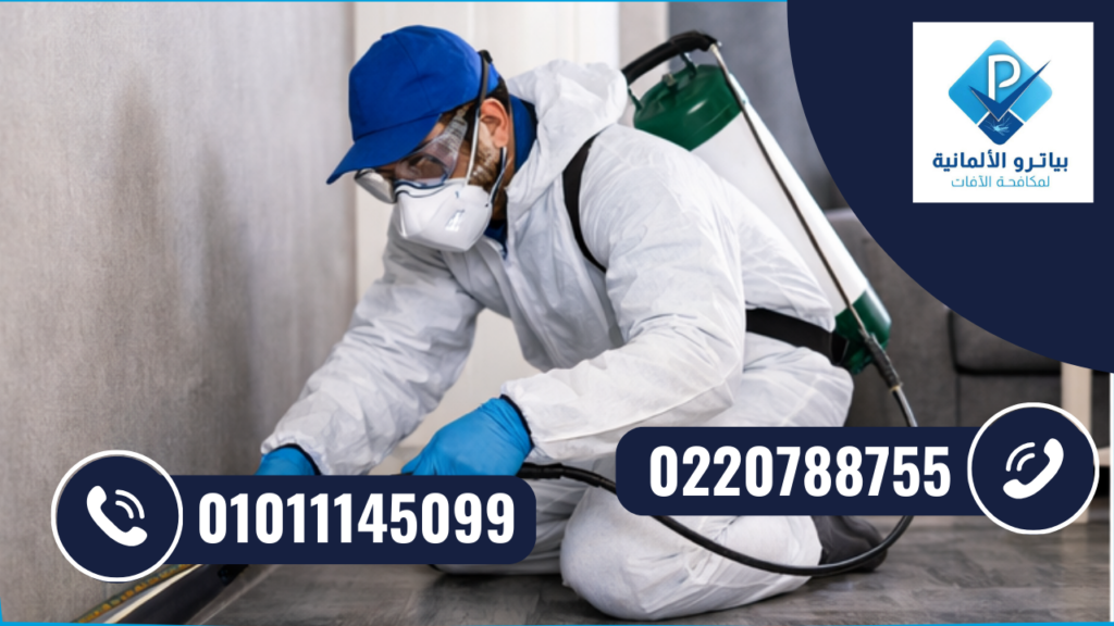 شركة مكافحة حشرات في سان ستيفانو