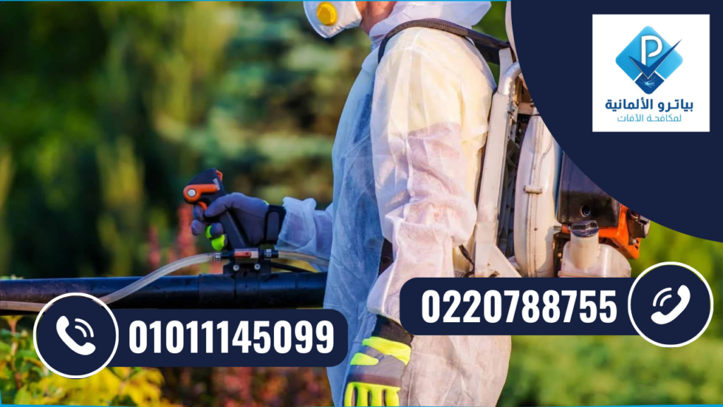شركة مكافحة حشرات في مدينة المستقبل