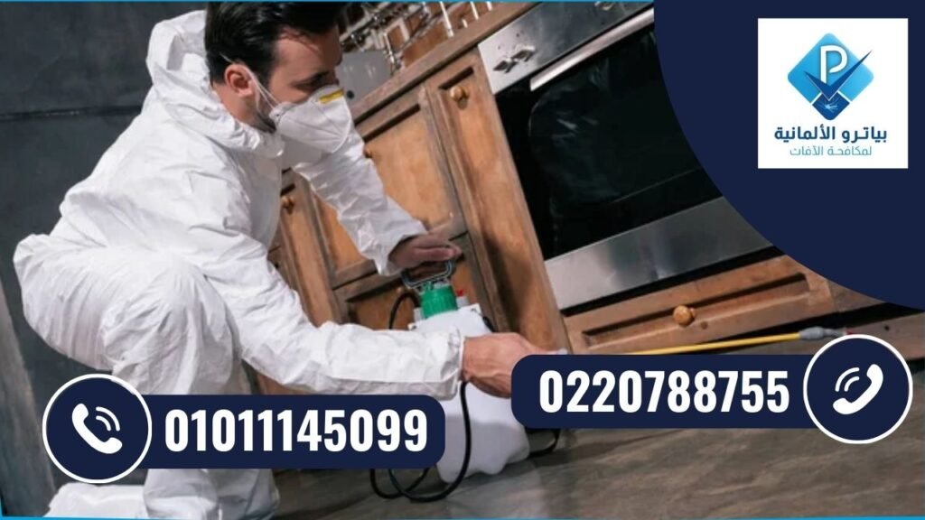 شركة مكافحة حشرات في التجمع تقوم برش مبيدات للقضاء على الصراصير داخل المطبخ
