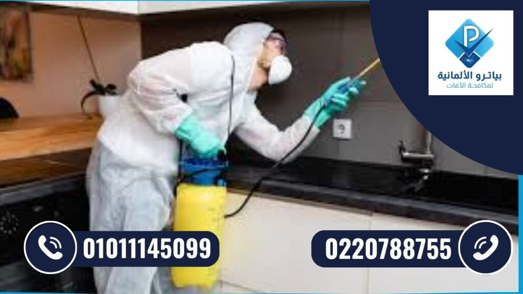 شركة مكافحة حشرات في التجمع الثالث تقوم برش المبيدات للقضاء على الصراصير داخل المنزل